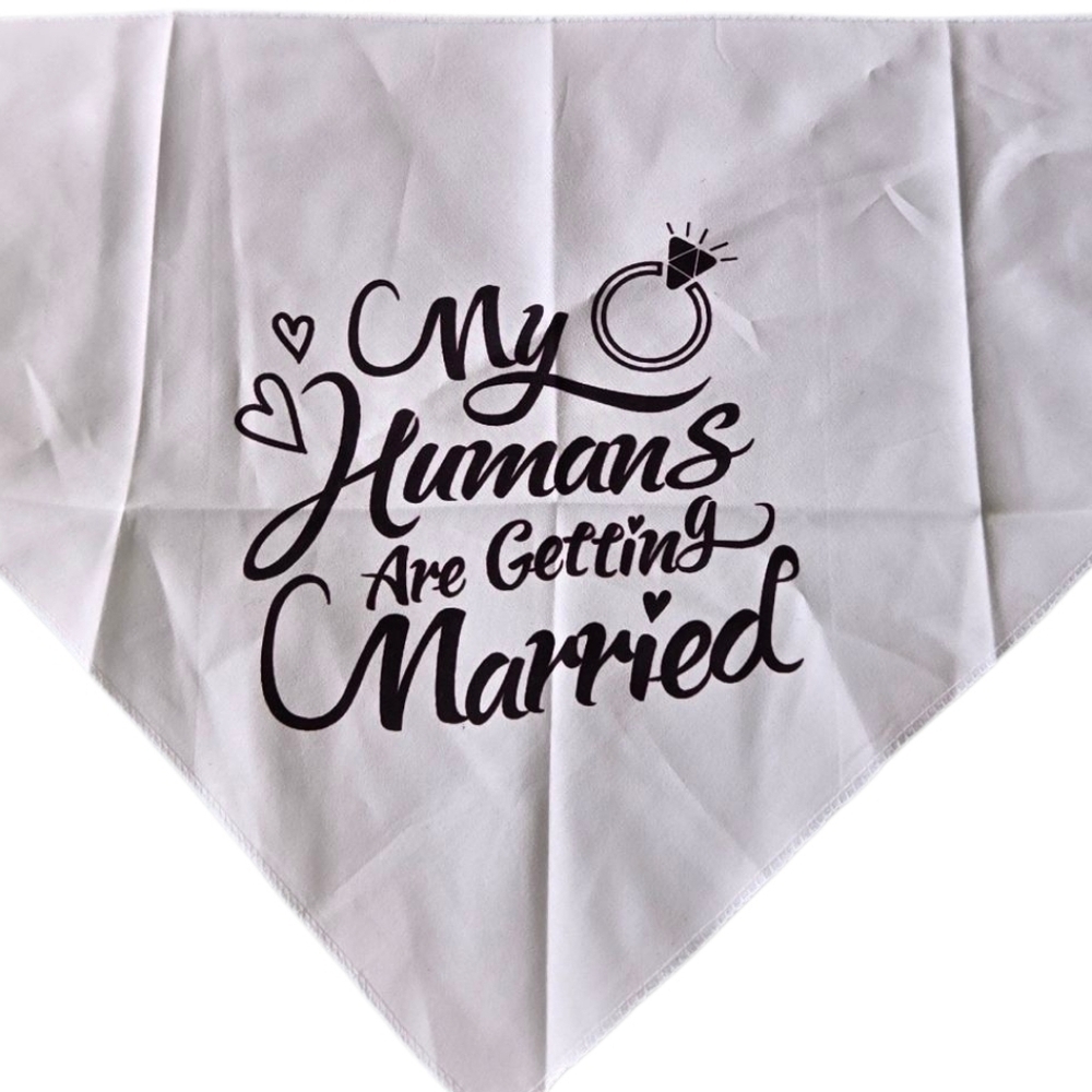 White Wedding Dog Bandanas 3 - Picture 3 of 3